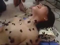 Insane fetish episode features a naïve fully undressed eighteen year old white women overspread in piles of bugs 